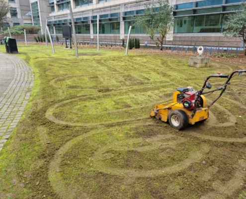 installing grasslands at Glaxo Smith Kline