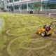 installing grasslands at Glaxo Smith Kline