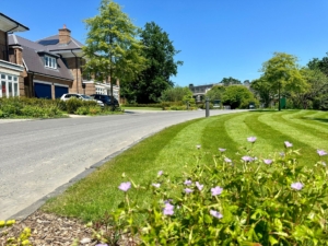 Landscape maintenance Hildenborough