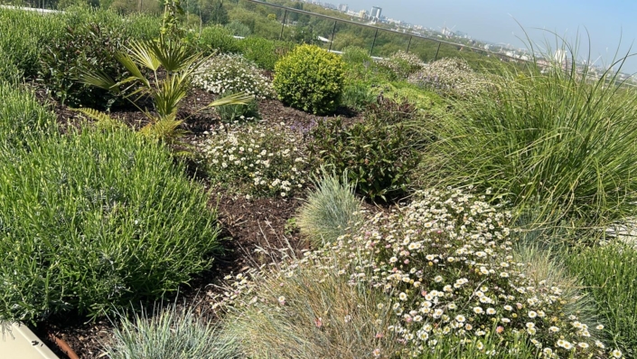 Terrace maintenance at Vista Development Chelsea