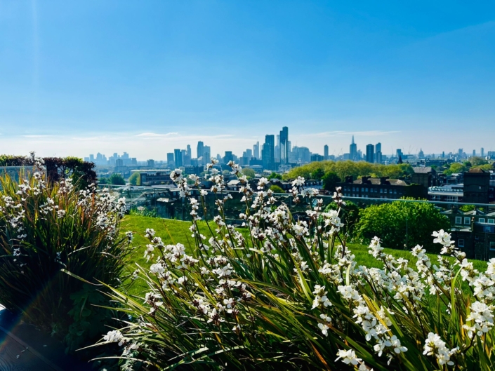 Islington Square Landscape Maintenance