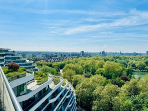 Vista Roof Terrace Landscape Maintenance