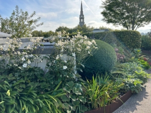 Islington Square Roof Garden Maintenance