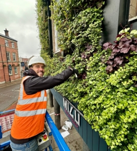 Living wall Sheffield