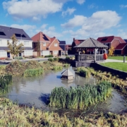 Ponds at Paddock Wood